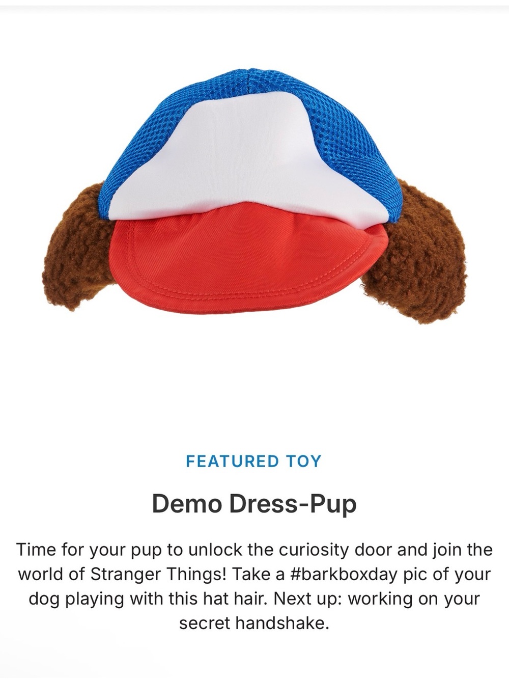 NWT Stranger Things Plush Dog Hat with crunch! From bark Box. Rare! Size M